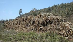 Pacas de Biomasa